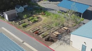 Elk Grove school garden may be replaced by portables [upl. by Mariken416]