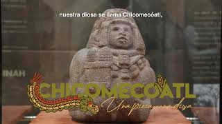 Chicomecóatl Una pieza una diosa En el Museo Comunitario Culhuacán [upl. by Ahsirek]