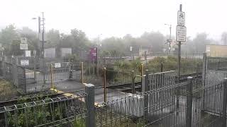 Wandong Station Pedestrian Crossing [upl. by Charlena]