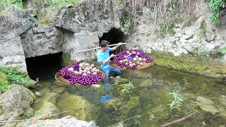 From Riverbed to RichesGirls Dig Unveils Giant Mussel Holding Surprise of Valuable Rare Treasures [upl. by Mcintyre340]