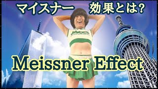 Meissner Effect マイスナー効果とは [upl. by Woodford769]