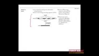 First Aid for the USMLE Step 1 BIOCHEM  07  mRNA processing [upl. by Aselehc]