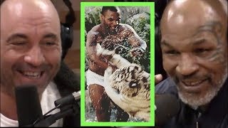 Mike Tyson Explains Why He Got the Tigers  Joe Rogan [upl. by Alan904]