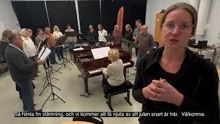 Julkonsert med Johan Stengård och Viseversa [upl. by Sussna]