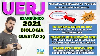 UERJ 2021  Questão 29  Divisão Celular  Considere uma mulher duplamente recessiva para dois genes [upl. by Ranit]