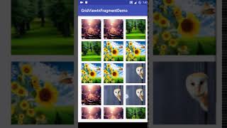 how to create a GridView in fragment in android [upl. by Nelyahs979]