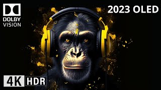 Oled Demo 2023 Dolby THX DLP Intros DOLBY ATMOS SOUND DESIGN 4K HDR 60FPS Dolby Vision [upl. by Lenor]