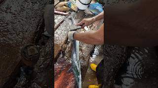 Amazing fish cutting skills fish fishcutting bigfish [upl. by Goat]