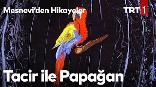 Tacir ile Papağan  Mesneviden Hikayeler 3 Bölüm [upl. by Leaffar213]