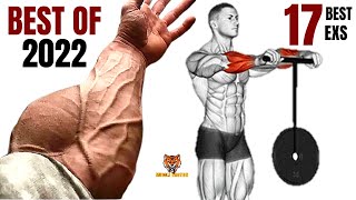 17 BEST Exercises for Bigger Forearms at Gym [upl. by Anirad]