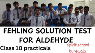 Fehling solution test lab work  class 10th test for aldehyde the spirit school burewala [upl. by Chuipek]