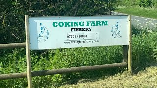 Coking farm fishery bank chat carp fishing carpfishing catfish [upl. by Vastah313]