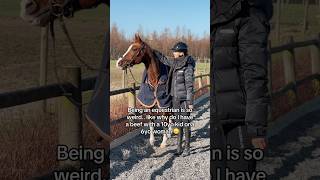 Can you relate 🙃😅 equestrian horse horses pony pferde cheval hest trending funny drama [upl. by Inneg]