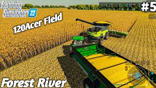 Fendt And Class Combine Corn Harvesting  Forest River Farm  Ep5 FS22 [upl. by Tracee]