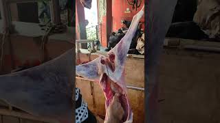 Amazing Deshi Full Goat Mutton Cutting trending shorts [upl. by Nylkaj]