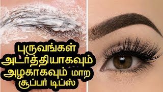 புருவங்கள் அடர்த்தியாகவும் அழகாகவும் மாற வேண்டுமா  puruvam adarthiyaga valara tips in tamil [upl. by Kuth]