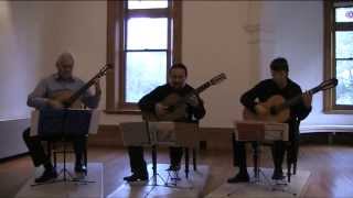 Filippo Gragnani Guitar Trio Op 12 Allegro 1st Movement [upl. by Galliett]