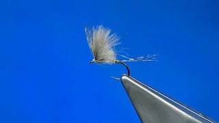 Tying a CDC Luis Meana Style Dry Fly with Davie McPhail [upl. by Hsirt731]