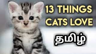 13 things cats love  Tamil  cat facts [upl. by Bethezel]