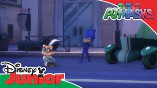 PJ Masks Cortos Gatuno improvisa  Disney Junior Oficial [upl. by Uno]