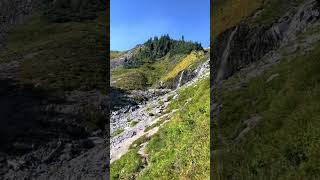 I got baited was expecting this amazing view mtrainier mtrainiernationalpark paradise seattle [upl. by Gawain]