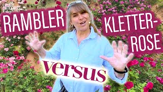 Ramblerrose VS Kletterrose    Erfahren Sie WELCHE Rose SCHÖNER wirkt  RückschnittTiPPs [upl. by Graniah]