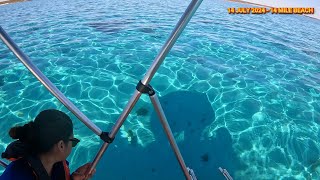 Discovering the magic of 14 Mile Beach Nigaloo Reef Our Family Vacation [upl. by Cecil]