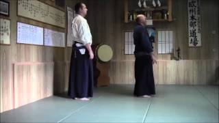 Hakko Denshin Ryu Yondan kihon tachi waza [upl. by Debbi]