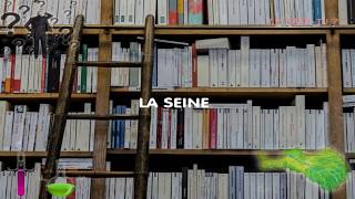 🎥👻😈LE SAISTU N°7  La Seine en long en large et en travers [upl. by Ahsercal]