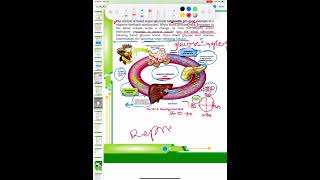 Feedback mechanism Lec13 Chemical Coordination Biology SKN PMDC MDCAT 2024 [upl. by Areval931]