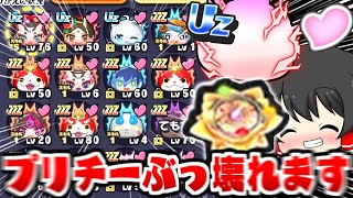 【ぷにぷに】レンUZプリチーとぷに神ウォッチ蓮でプリチー完全ぶっ壊れ一強時代到来【ゆっくり実況妖怪ウォッチ】 [upl. by Alphonsine126]