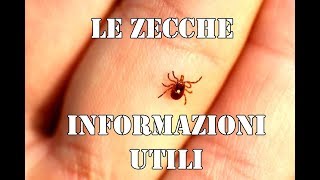 LE ZECCHE informazioni su di un PARASSITA poco conosciuto 🕷🕷 escursionisicure [upl. by Appledorf]