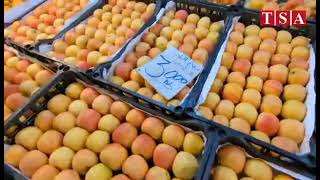 Fruits et légumes  des prix quotabordablesquot au marché de Reghaia Alger [upl. by Otes]