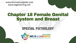 Female Genital System and Breast Chapter 18 Special Pathology Pathology [upl. by Reaht]