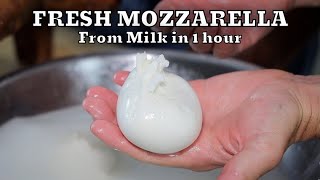 HOW TO MAKE FRESH MOZZARELLA REAL FROM SCRATCH  At Home Very Easy [upl. by Lazaro]