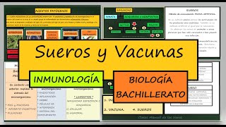 Diferencia entre Sueros y Vacunas Inmunidad Artificial Activa y Pasiva Biología Bachillerato [upl. by Aneerol764]