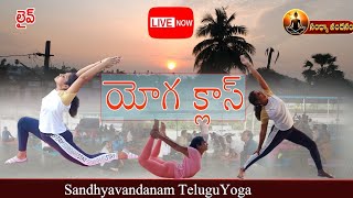 best yoga asanas for daily practice weightlossYoga [upl. by Eyr660]