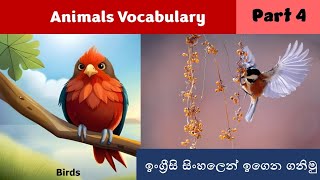 Animals Vocabulary Part 4 🐦  Birds 🕊☁️ [upl. by Llekram367]