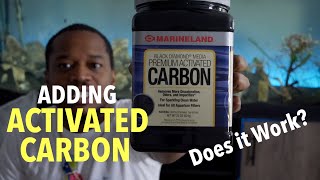 Activated Carbon  Does it work in your Aquarium [upl. by Letsou390]