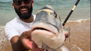 Daurade Royale gilthead bream orata fishing in Morocco 🎣 [upl. by Cordle90]