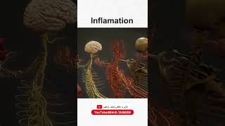 Inflamation Inflamation ibnetabeeb tibeunani herbalmedicine shorts ytvideo foryou [upl. by Bernhard]