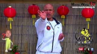 wing chun basics  How to do palm strike Lesson 5 [upl. by Ayr]