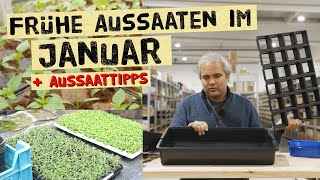 Was kannst du im Januar aussäen  Tipps zur frühen JungpflanzenVoranzucht im Haus [upl. by Hoffmann797]