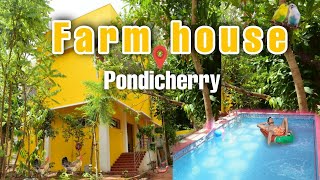 auroville private farm house with swimming pool yengadapora 4k [upl. by Artemus]