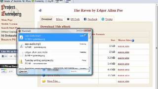 How to Download FREE eBooks from Project Gutenberg [upl. by Demahum]