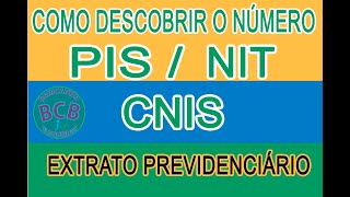 COMO DESCOBRIR O NÚMERO DO PIS  NIT  CNIS E EXTRATO PREVIDÊNCIÁRIO FÁCIL PELA INTERNETE [upl. by Serg]