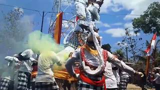 HEBOH HANOMAN NGAMUK LAGI DI GUNUNGKIDUL GROGOL RASUL CARNIVAL 2018 [upl. by Amadis601]