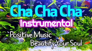 Cha Cha Cha Melody Instrumental For Relaxation Positive Music Beautify Your Soul And Stress Relief [upl. by Stephan387]