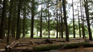 LES MENHIRS DE LAMBERT A COLLOBRIERES [upl. by Dylan]