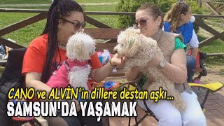 CANO ve ALVİNin dillere destan aşkı  SAMSUNDA YAŞAMAK [upl. by Anabahs]